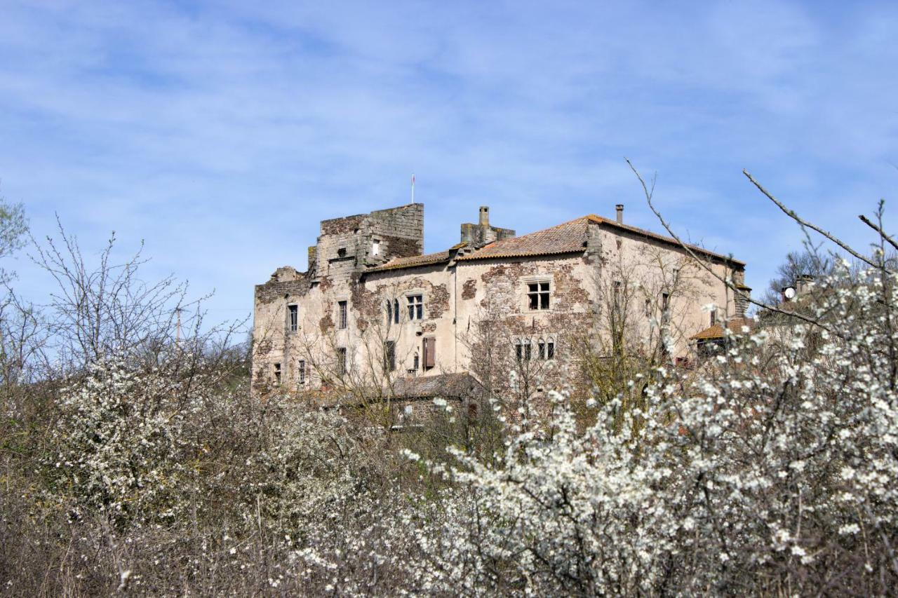 Chateau De Latour Sur Sorgue Marnhagues-et-Latour Eksteriør billede
